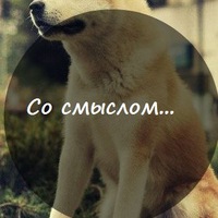 Со смыслом... Со смыслом...