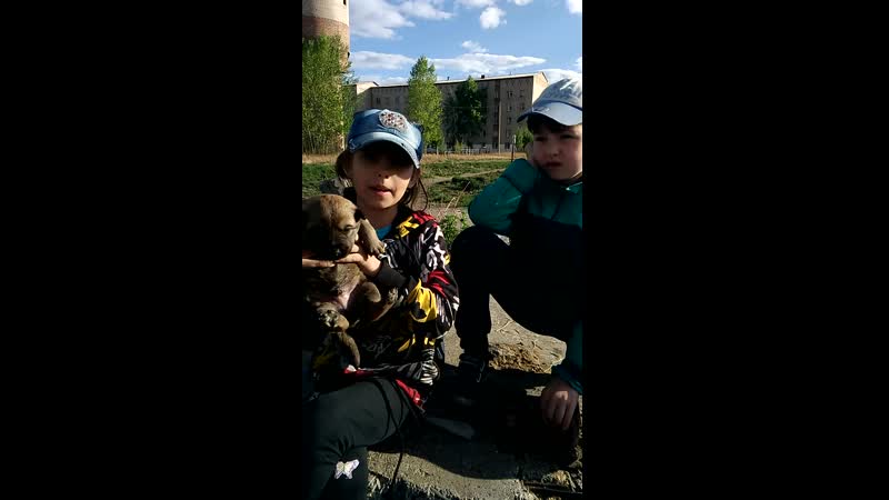 рекс