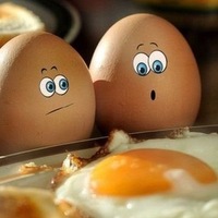 Смешные фотографии Смешные фотографии