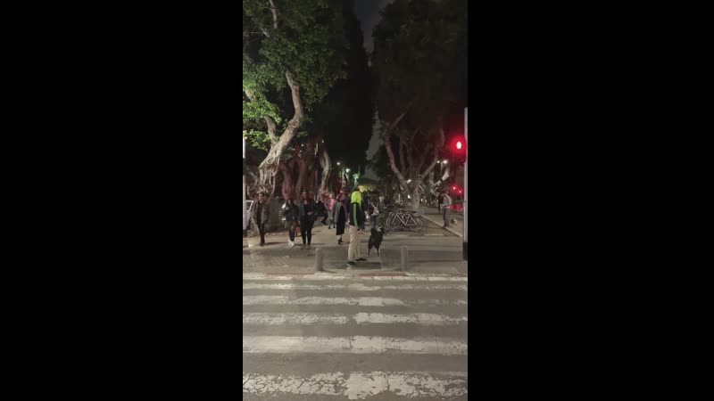Пурим, TLV