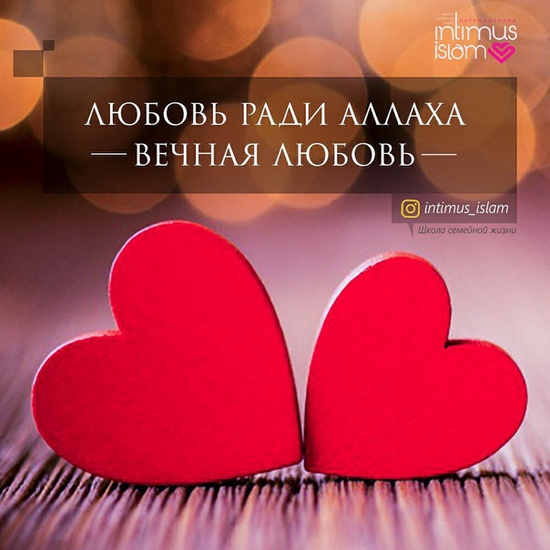 картинка я люблю тебя аллаха данный момент размножение
