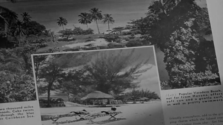 1950-La jungla de asfalto