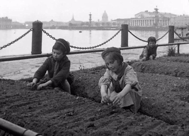 РАДОСТНОЕ письмо из блокадного Ленинграда. 6.06.1943 г. Только вчера послала тебе, мой мальчик, письмо. А сегодня вечером пишу снова. Знаешь, Пашенька, я давно хотела написать тебе РАДОСТНОЕ