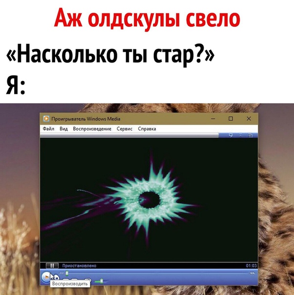 фотоприкол