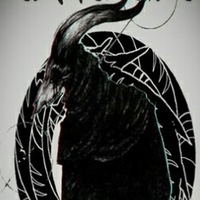 drevomagic