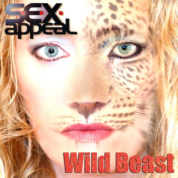 обложка klaas. Wild beast. Zoomad wild beast. Wilder. Wild beasts кафе.