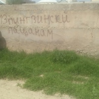 Фотография профиля Армана Берденова ВКонтакте